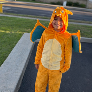 Gotta catch them all - Fabian 